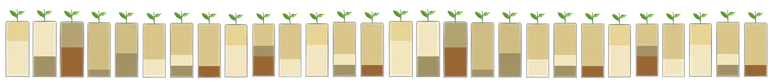 Soils2.png