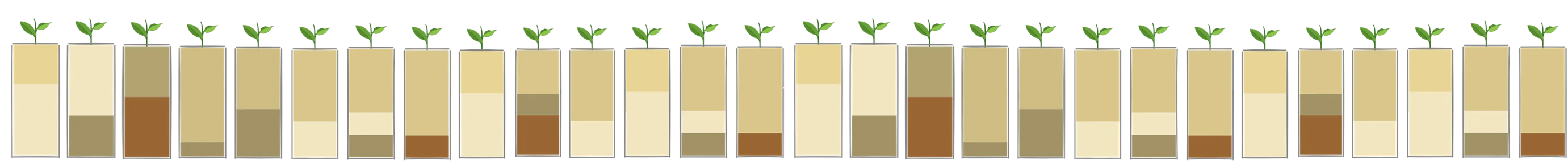 Soils2.png